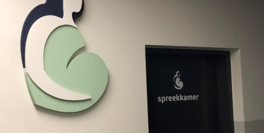 Logo in XPS Danure Verloskundigen